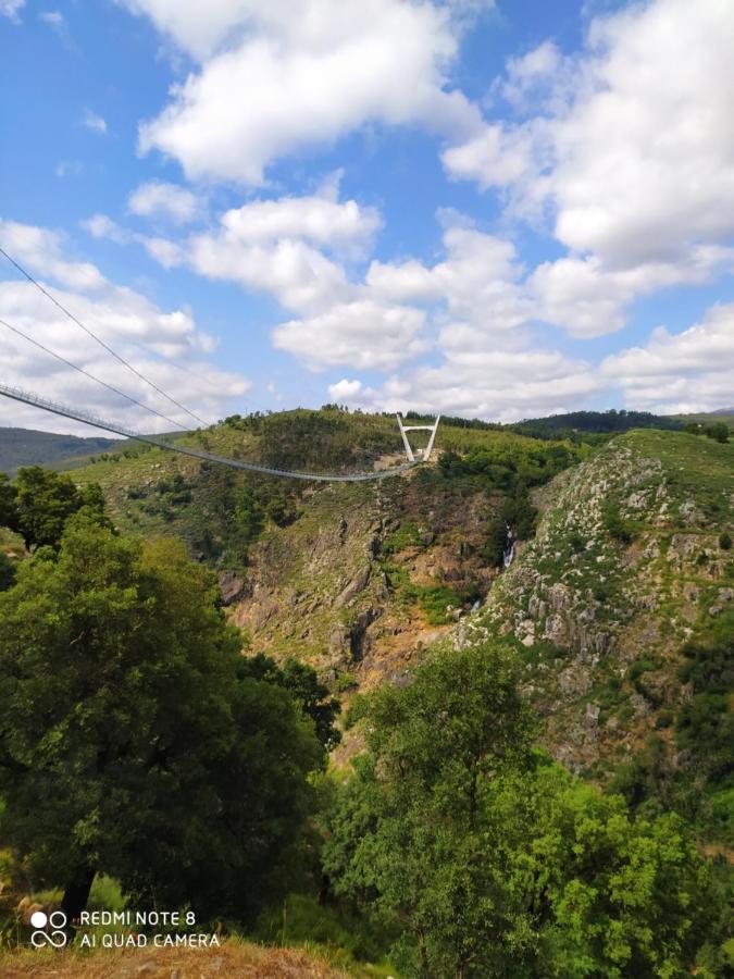 Bellavista Alojamento Arouca Eksteriør billede
