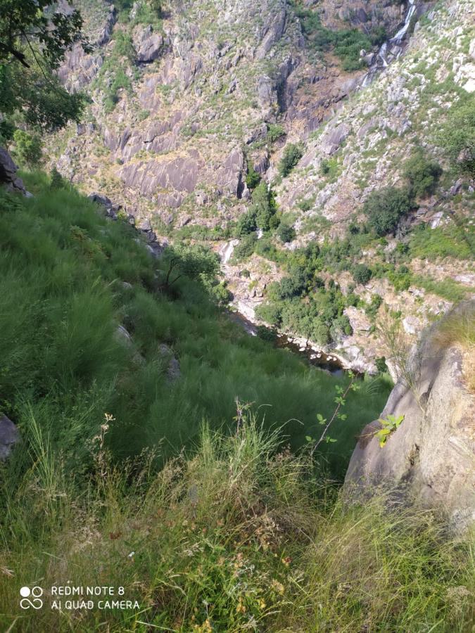 Bellavista Alojamento Arouca Eksteriør billede